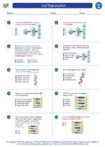 Science - Seventh Grade - Worksheet: Cell Reproduction