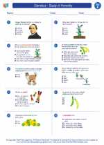 Science - Sixth Grade - Worksheet: Genetics - Study of Heredity