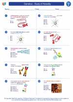 Science - Sixth Grade - Worksheet: Genetics - Study of Heredity