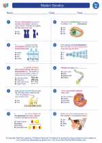 Science - Eighth Grade - Worksheet: Modern Genetics