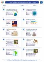 Science - Eighth Grade - Worksheet: The Evolution and interaction of Living Things