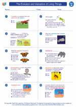 Science - Eighth Grade - Worksheet: The Evolution and interaction of Living Things