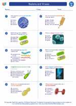 Science - Seventh Grade - Worksheet: Bacteria and Viruses
