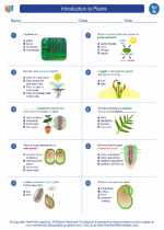 Science - Seventh Grade - Worksheet: Introduction to Plants