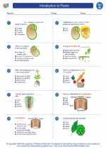 Science - Seventh Grade - Worksheet: Introduction to Plants