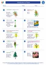 Science - Seventh Grade - Worksheet: Introduction to Plants