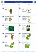 Science - Sixth Grade - Worksheet: Plant Processes