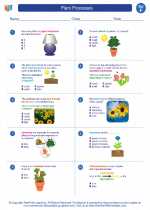 Science - Sixth Grade - Worksheet: Plant Processes