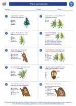 Science - Sixth Grade - Worksheet: Plant reproduction