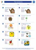 Science - Sixth Grade - Worksheet: Plant reproduction