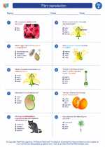 Science - Sixth Grade - Worksheet: Plant reproduction