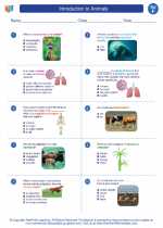 Science - Sixth Grade - Worksheet: Introduction to Animals