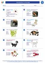 Science - Sixth Grade - Worksheet: Introduction to Animals