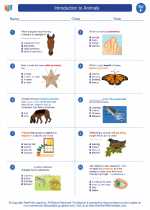 Science - Sixth Grade - Worksheet: Introduction to Animals