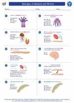 Sponges, Cnidarians and Worms. 6th Grade Science Worksheets and Answer