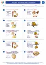 Science - Sixth Grade - Worksheet: Mollusks, Arthropods and Echinoderms