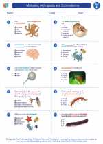 Mollusks, Arthropods and Echinoderms. 6th Grade Science Worksheets and