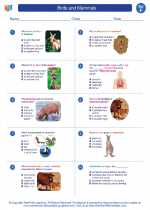 Science - Sixth Grade - Worksheet: Birds and Mammals