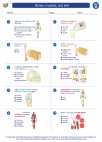 Science - Eighth Grade - Worksheet: Bones, muscles, and skin