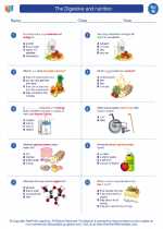 the digestive system nutrition 8th grade science worksheets and answer key study guides and vocabulary sets