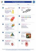 Science - Eighth Grade - Worksheet: The Digestive and nutrition