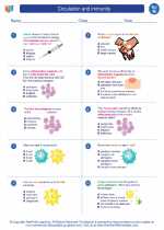 Science - Eighth Grade - Worksheet: Circulation and immunity