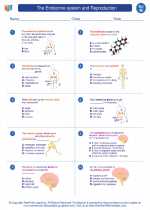 Science - Eighth Grade - Worksheet: The endocrine system and Reproduction