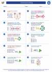 Science - Eighth Grade - Worksheet: Chemical bonding