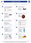 Science - Seventh Grade - Worksheet: Chemistry in our world