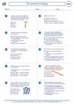 Biology - High School - Worksheet: The science of biology