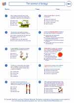 Biology - High School - Worksheet: The science of biology