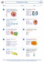 Introduction to cells. High School Biology Worksheets and Answer Keys