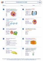 Biology - High School - Worksheet: Introduction to cells