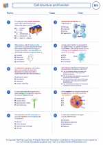 cell structure and function high school biology worksheets and answer keys vocabulary sets