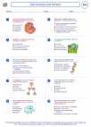Biology - High School - Worksheet: Cell structure and function