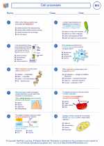 Biology - High School - Worksheet: Cell processes