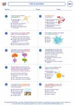 Biology - High School - Worksheet: Cell processes