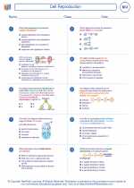 Biology - High School - Worksheet: Cell Reproduction