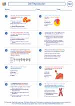 Biology - High School - Worksheet: Cell Reproduction