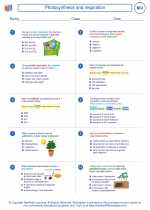 Biology - High School - Worksheet: Photosynthesis and respiration