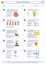 Biology - High School - Worksheet: Genetics and heredity I