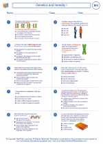 Genetics and heredity I. High School Biology Worksheets and Answer Keys