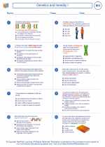Biology - High School - Worksheet: Genetics and heredity I