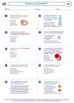 Biology - High School - Worksheet: Genetics and heredity II