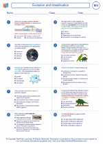 Biology - High School - Worksheet: Evolution and classification