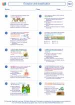 Biology - High School - Worksheet: Evolution and classification