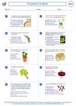 Biology - High School - Worksheet: Introduction to plants