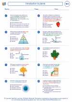Biology - High School - Worksheet: Introduction to plants