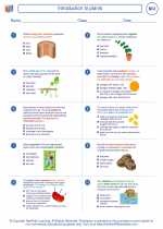 Biology - High School - Worksheet: Introduction to plants