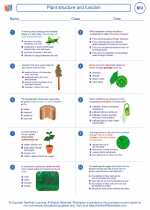 Plant Structure And Function High School Biology Worksheets Study Guides Vocabulary Sets And Answer Key